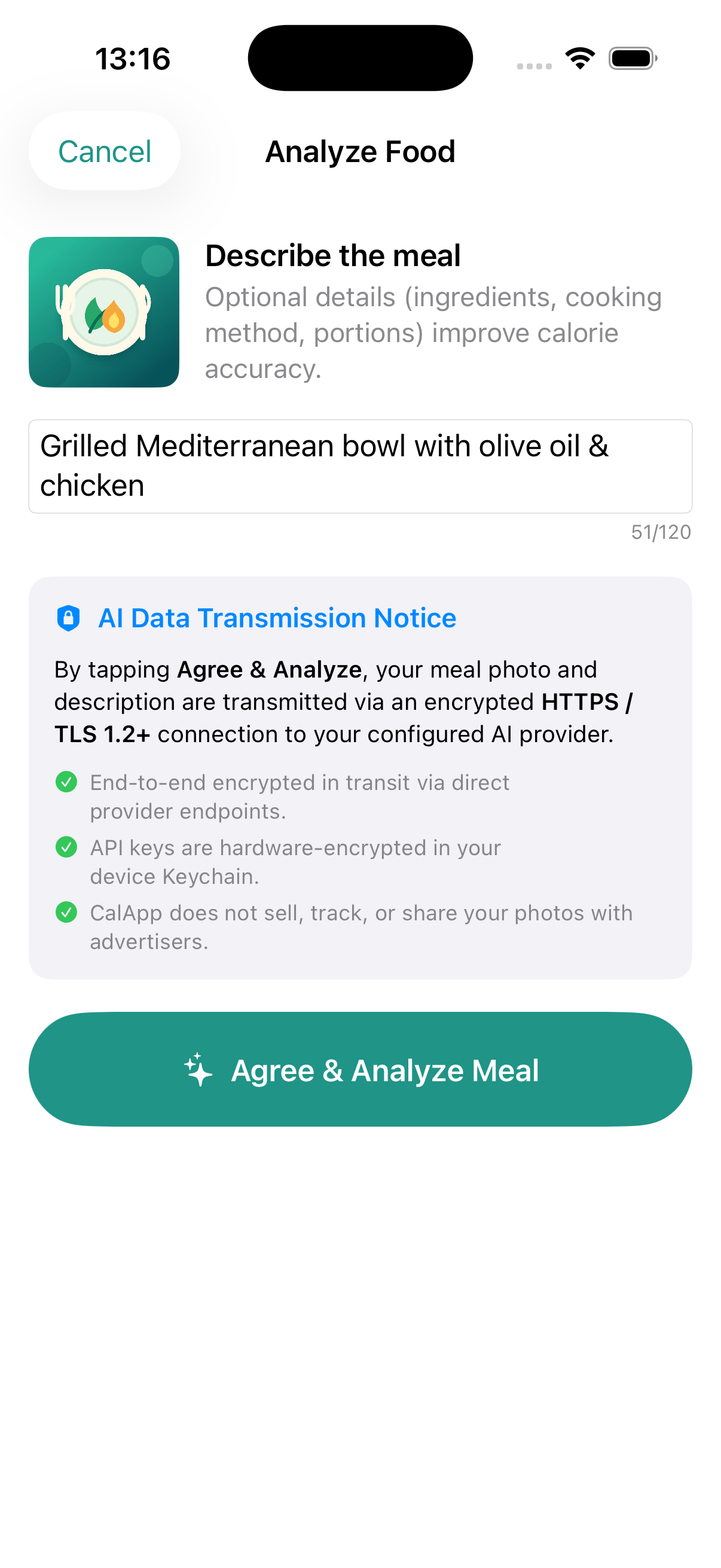 Meal Description and AI Data Transmission Privacy Dialog